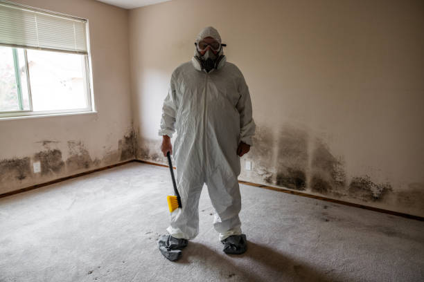 Best Health and Safety Mold Remediation in Dadeville, AL